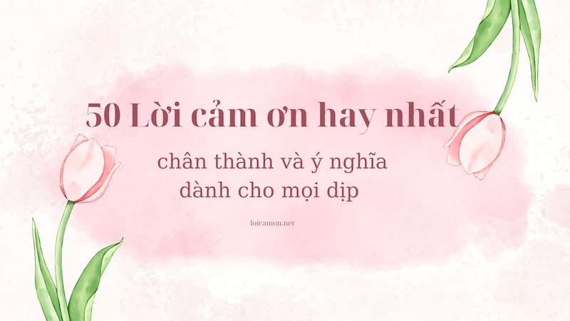 Tổng hợp 50 lời cảm ơn hay nhất và chân thành