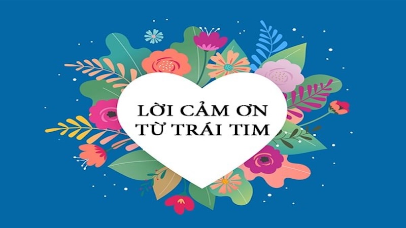 cảm ơn trái tim bông hoa