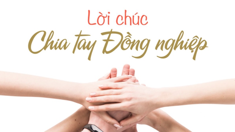 Lời cảm ơn đồng nghiệp khi nghỉ việc