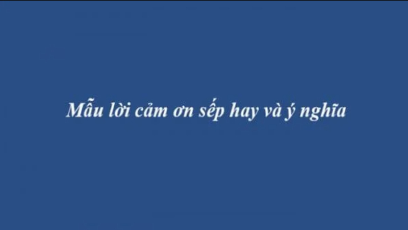 Sưu tầm lời cảm ơn sếp thật chân thành và sâu sắc