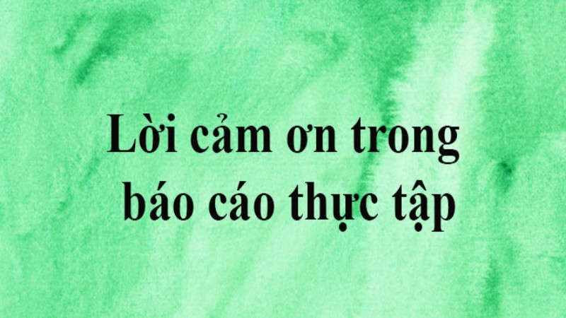 Lời cảm ơn thực tập