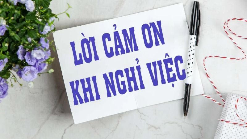 Lời cảm ơn trước khi nghỉ việc