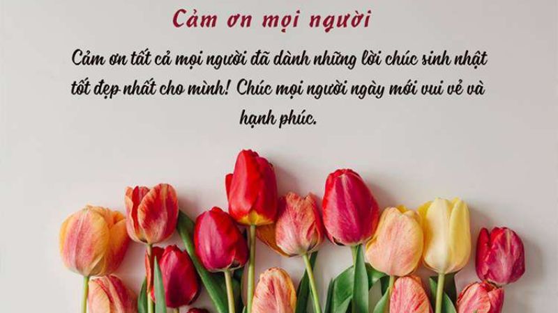 cảm ơn sinh nhật